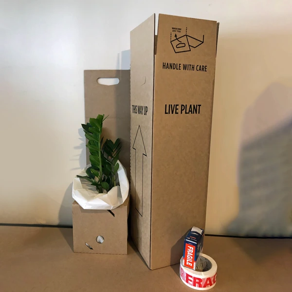 plant-packaging-boxes